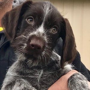 Meet your Posher, Bethany